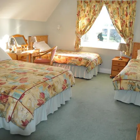 Vale 4* Blarney