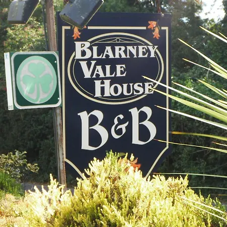 Vale Blarney